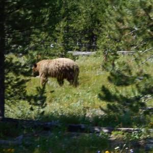 Meet your Posher, Larry